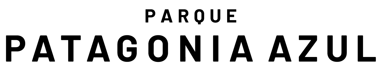 Logo_PatagoniaAzul-02